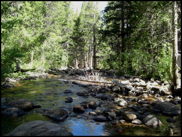 Rock Creek Downstream