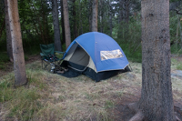 Tent Amoung Trees