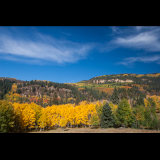 Fall Color Landscape